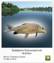 Славік Зайцев фотография #26 (источник - https://vk.com/id97164544)