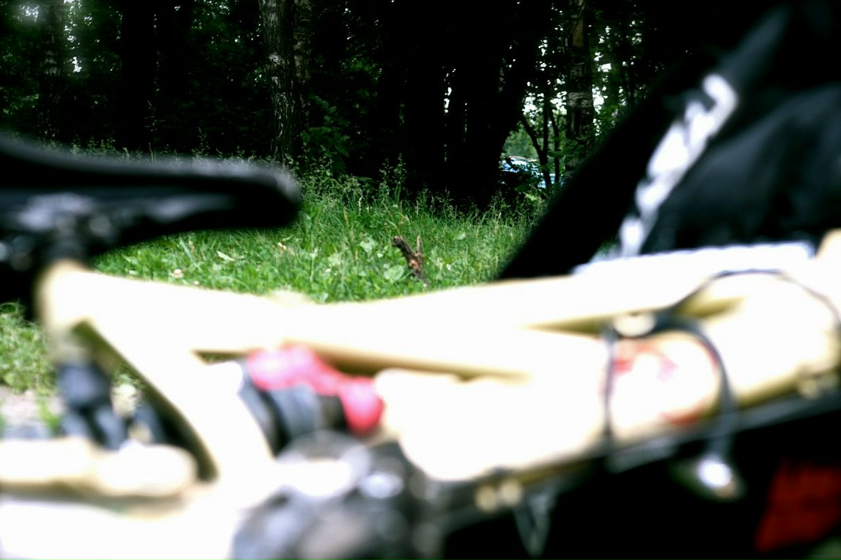 Антон Веселов фотография #11