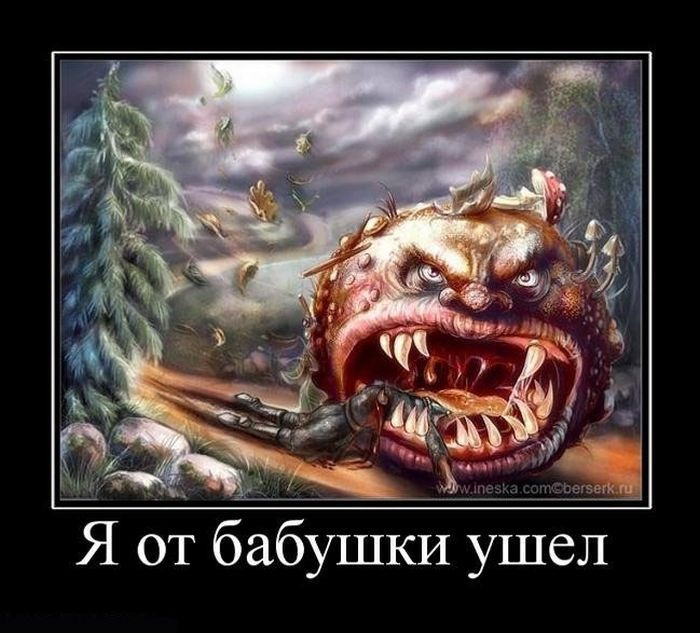 Дмитрий Кашкаров фотография #18