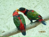 Фотография Мордвиновой Наталии