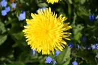 Фотография Тимофеевой Яны