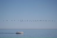 Улад Гардзіевіч фотография #9 (источник - https://vk.com/id2747802)