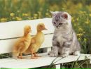 Іра Земба фотография #38 (источник - https://vk.com/id181480632)