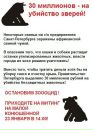 Фотография Балакиревой Юлии