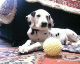 Антон Котов фотография #50 (источник - https://vk.com/id288997)