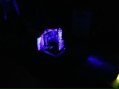 Иван Савин фотография #35 (источник - https://vk.com/id2984467)