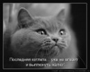 Иришка Венцова фотография #19 (источник - https://vk.com/id4664078)