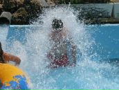 Dim Pot фотография #31 (источник - https://vk.com/id1390158)