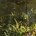 Аліна Мисюк фотография #24 (источник - https://vk.com/id67948561)