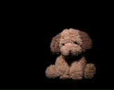 Фотография Дурневой Дарьи