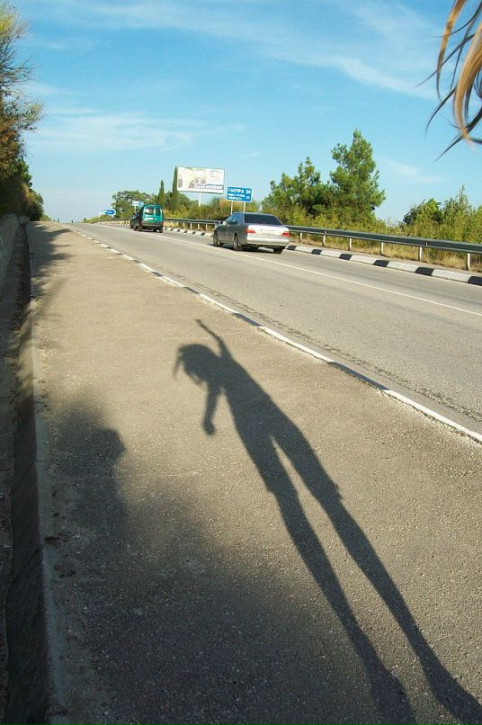 Дмитрий Воробьёв фотография #39