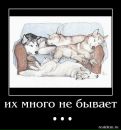 Фотография Астаховой Виктории