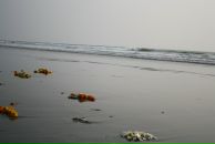 Фотография Богдановской Анастасии