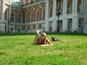 Фотография  