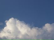 Фотография Трофимчук Елены