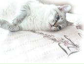 Фотография Гречушкиной Татьяны