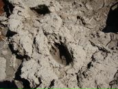 Сергей Худеев фотография #48 (источник - https://vk.com/id6681531)