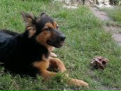 Міша Мостовий фотография #25 (источник - https://vk.com/id9774171)