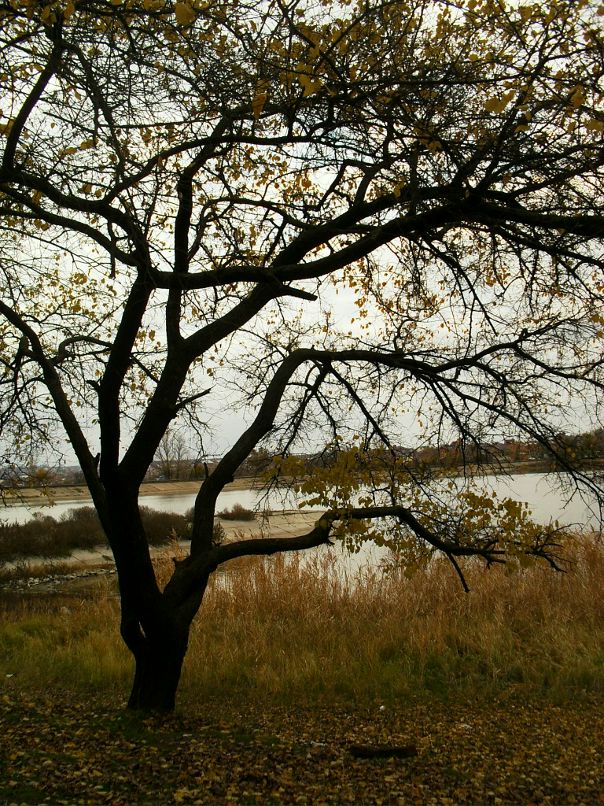 Григорий Григорьев фотография #4