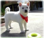 Фотография Власова Ильи