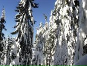 Міша Кость фотография #20 (источник - https://vk.com/id134940293)