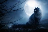 Фотография Паншиной Светланы