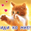 Ілона Полонська фотография #4 (источник - https://vk.com/id167437130)