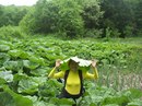 Фотография Бирюковой Ольги