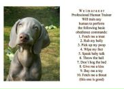 Фотография Кулай Юлианы