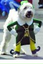 Junni :) фотография #36 (источник - https://vk.com/id141296253)