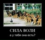 Олександр Кулініч фотография #32 (источник - https://vk.com/id55456883)