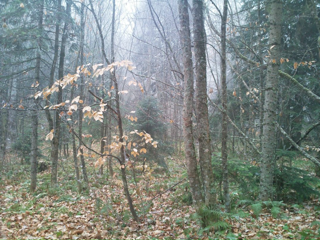 Виктор Кузнецов фотография #6