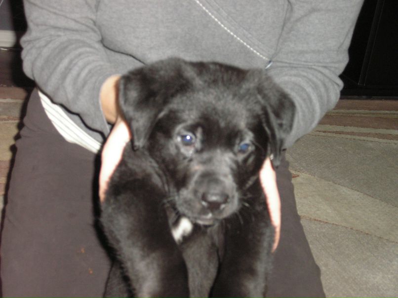 Егор Хованский фотография #19