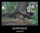 Саша Сірік фотография #43 (источник - https://vk.com/id162005491)