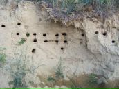 Дініс Боднарюк фотография #8 (источник - https://vk.com/id66434477)