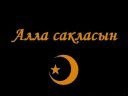 Фотография Салахова Динара