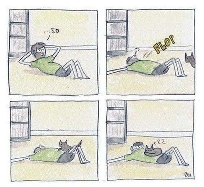 Дмитрий Божко фотография #10