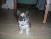 Ірочка Назарчук фотография #44 (источник - https://vk.com/id123232250)