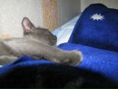 Роман Киреев фотография #48 (источник - https://vk.com/id2910844)