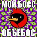 Катько Бирюкова фотография #8 (источник - https://vk.com/id26086263)