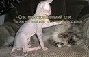 Юрій Лазутіков фотография #36 (источник - https://vk.com/id155060330)