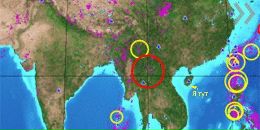 Фотография Панина Александра