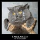 Андрій Маркін фотография #12 (источник - https://vk.com/id24531588)