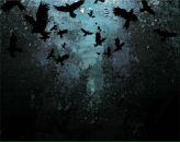 Фотография Грищенко Романа