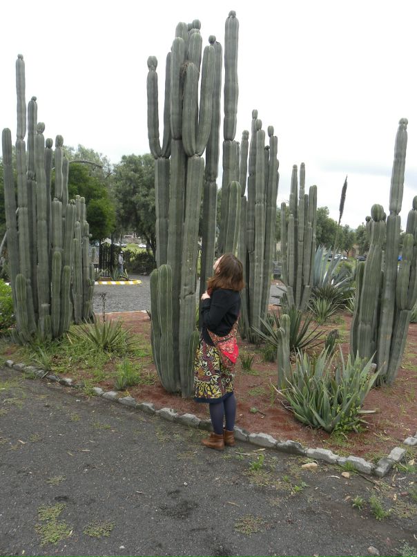 Лев Мышкин фотография #17