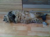 Фотография Поддубной Ольги