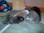 Фотография Галявеевой Гузель