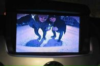 Фотография Типаева Никиты