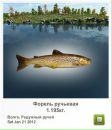 Анатолій Даценко фотография #31 (источник - https://vk.com/id67890914)