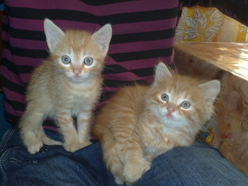 Дмитрий Косенко фотография #11